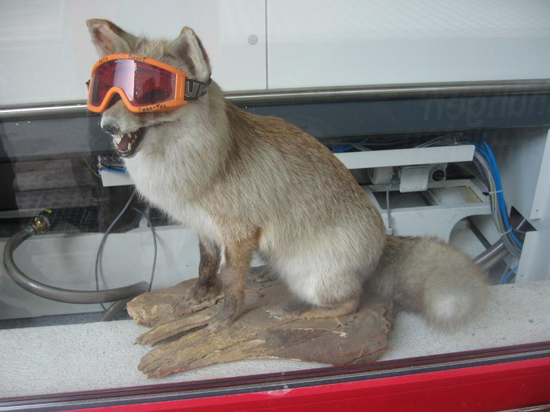 saasfee 005.jpg - Alppikettu